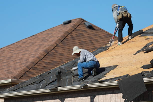 Best Roof Installation  in Edison, GA