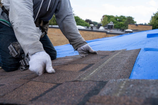 Best Roof Repair  in Edison, GA