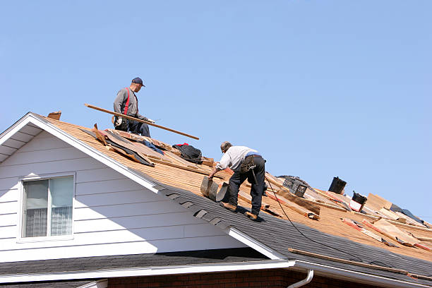 Best Roof Ventilation Installation  in Edison, GA