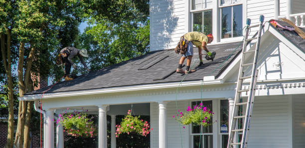 Best Roof Insulation Installation  in Edison, GA